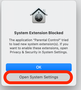 System Extension Blocked